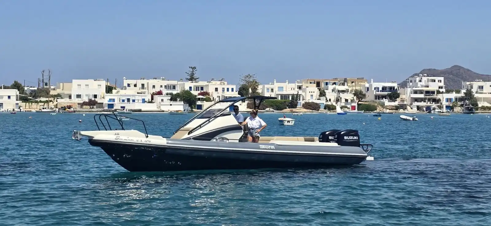 Sealion boat at sea