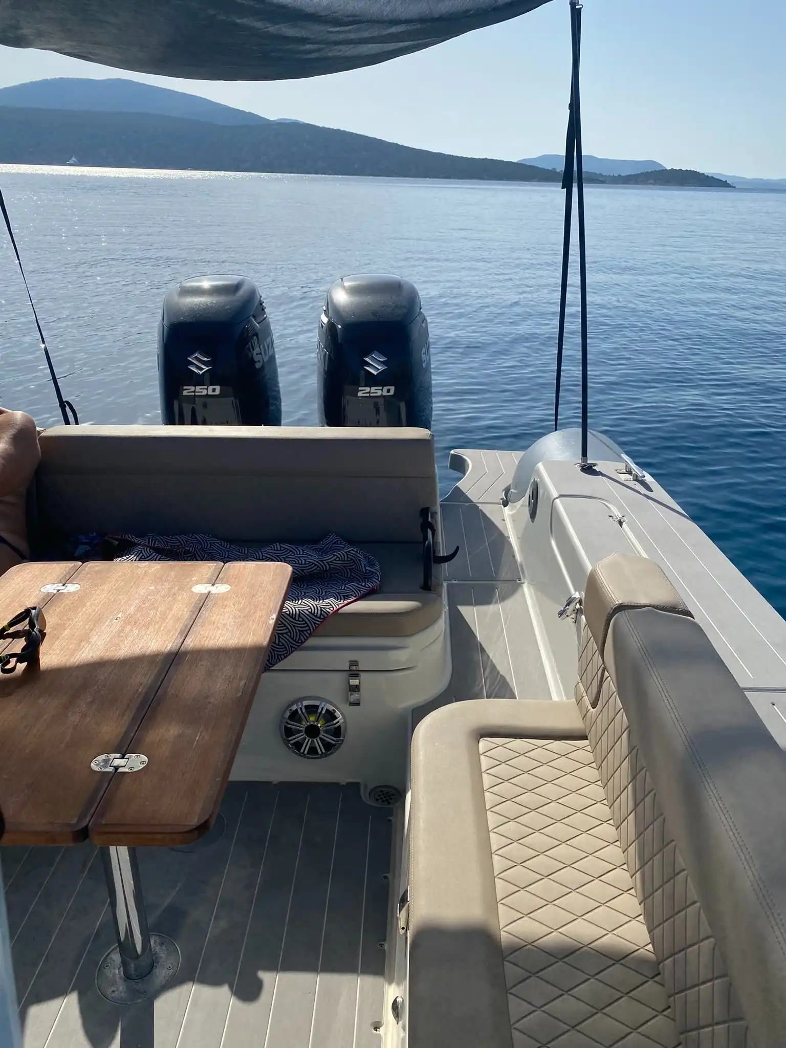 Sealion boat at sea
